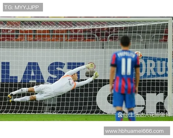 2019年阿根廷与厄瓜多尔激战回顾：精彩瞬间与赛后分析