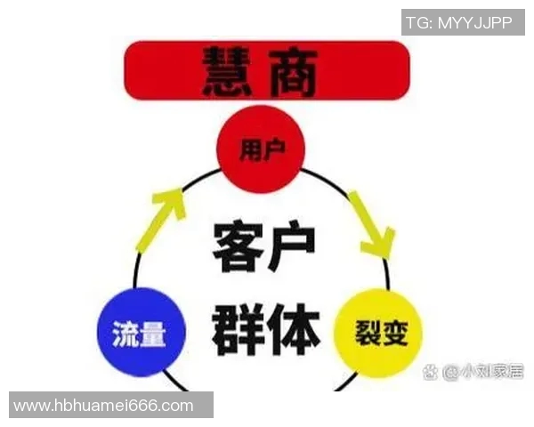 朱俊龙的奋斗历程与职业生涯探秘，如何在竞争激烈的环境中脱颖而出