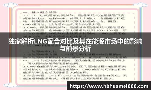独家解析LNG配合对比及其在能源市场中的影响与前景分析