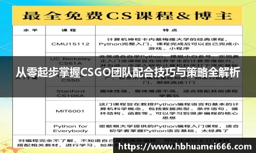 从零起步掌握CSGO团队配合技巧与策略全解析