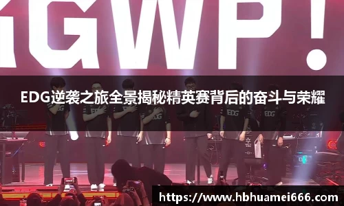EDG逆袭之旅全景揭秘精英赛背后的奋斗与荣耀