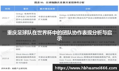 重庆足球队在世界杯中的团队协作表现分析与启示